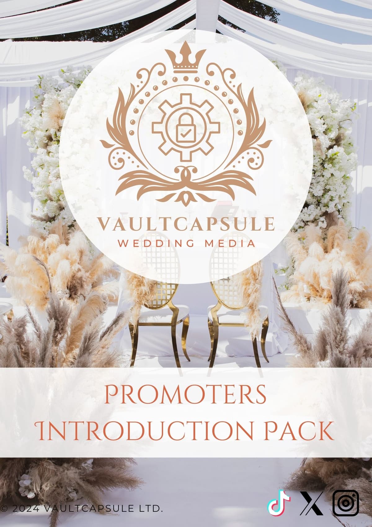 VaultCapsule Promo Pack