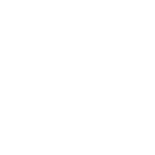 VaultCapsule Logo